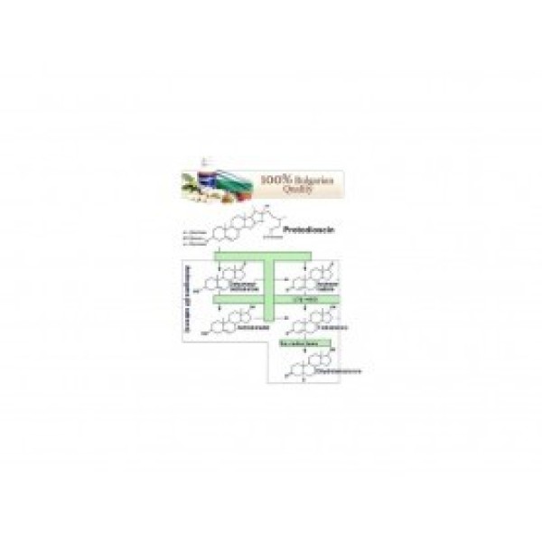 VEMOHERB TRIBULUS TERRESTRIS MAXX 60 Kapsul VEMOHERB